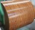 SPCC μαρμάρινο ξύλινο σχέδιο Ppgi σπειρών χάλυβα σχεδίων προβερνικωμένο εκτύπωση